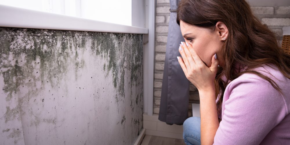 Tenant Withholds Rent when finding Mold